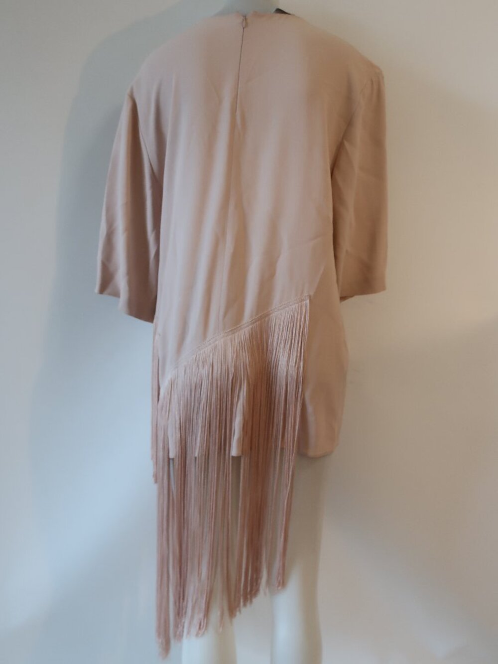 Stella McCartney Blush Fringe Asymmetric Tunic - Picture 7 of 16